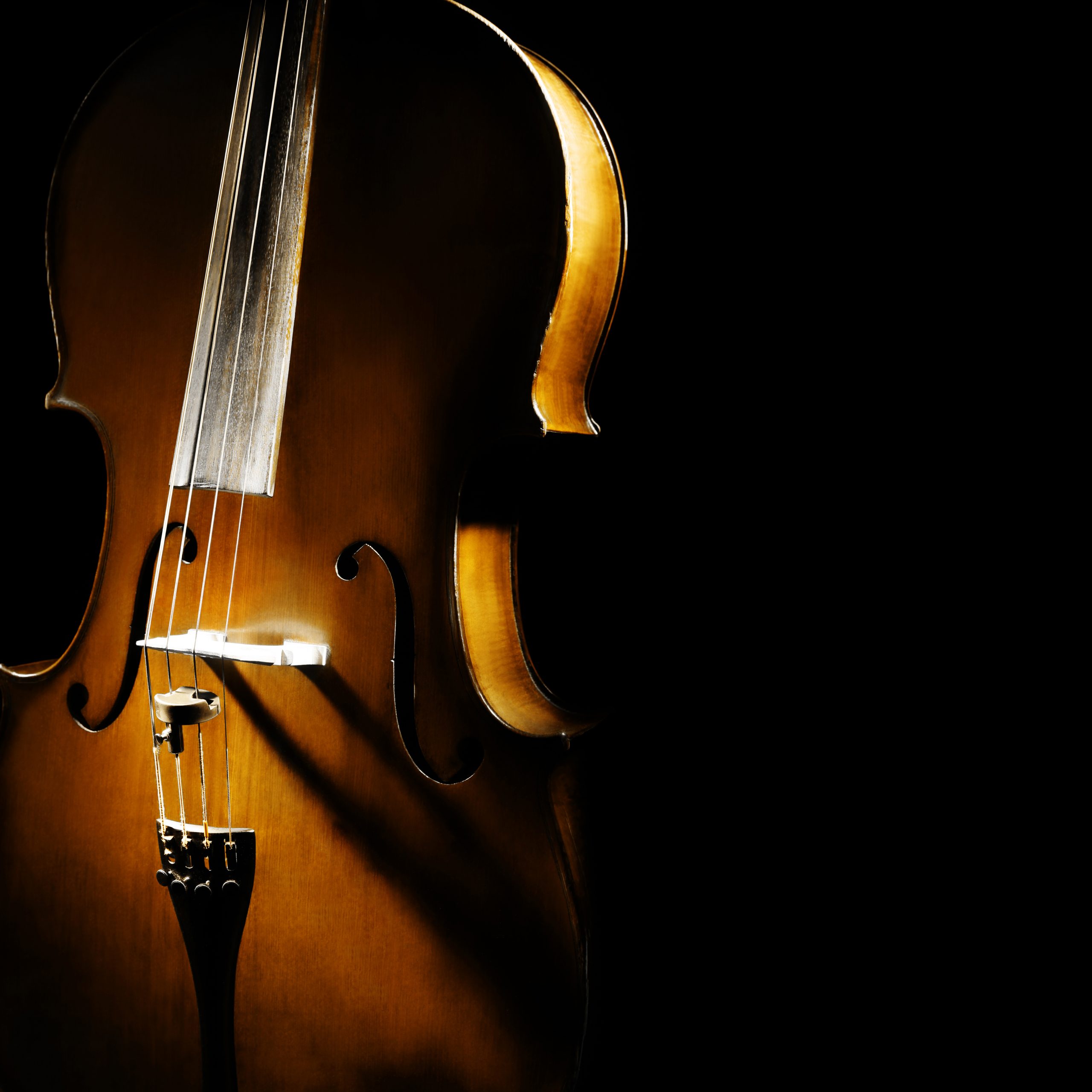 Online Cello Course Jenny's Cello Studio